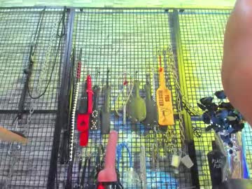 evaa bdsm